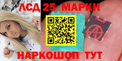 прущие грибы Вязники
