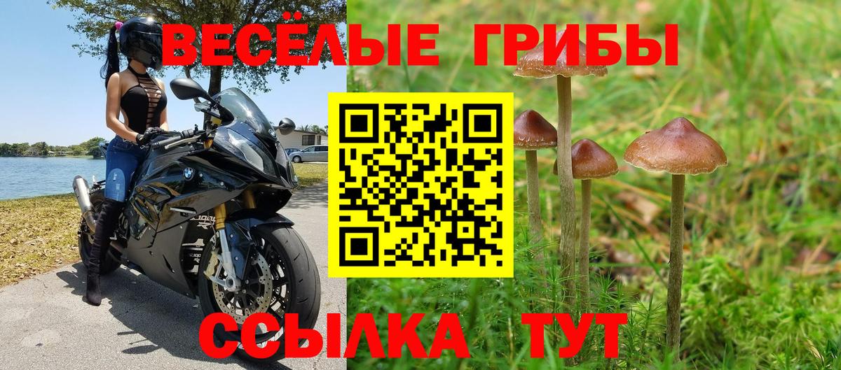 Псилоцибиновые грибы мухоморы Киров