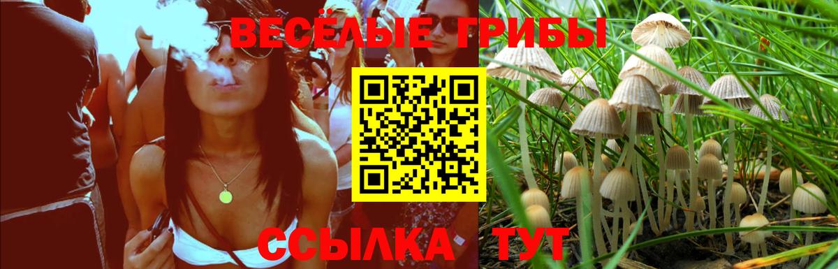 Киров  Галлюциногенные грибы прущие грибы  Вход с VPN 